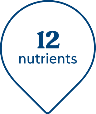 12 nutrients