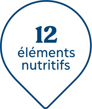 12 éléments nutritifs